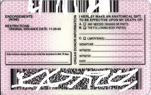 Driver License Barcode Information Yellowhero